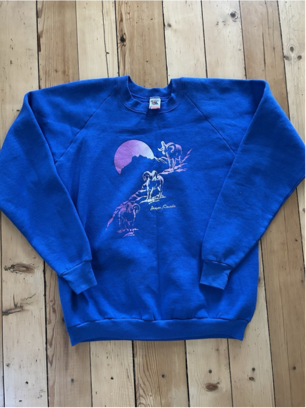 Vintage 90s Jasper Canada Graphic Hiking Sweatshirt Sweater XL